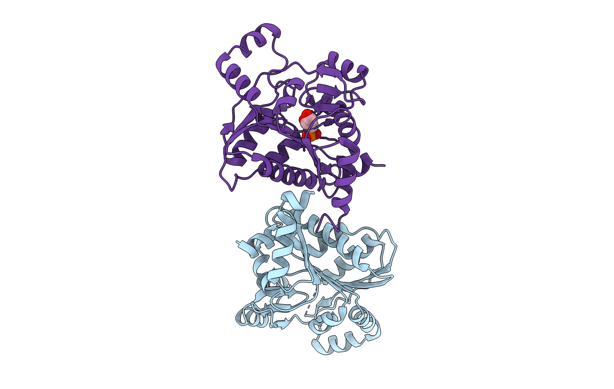 2OKG image