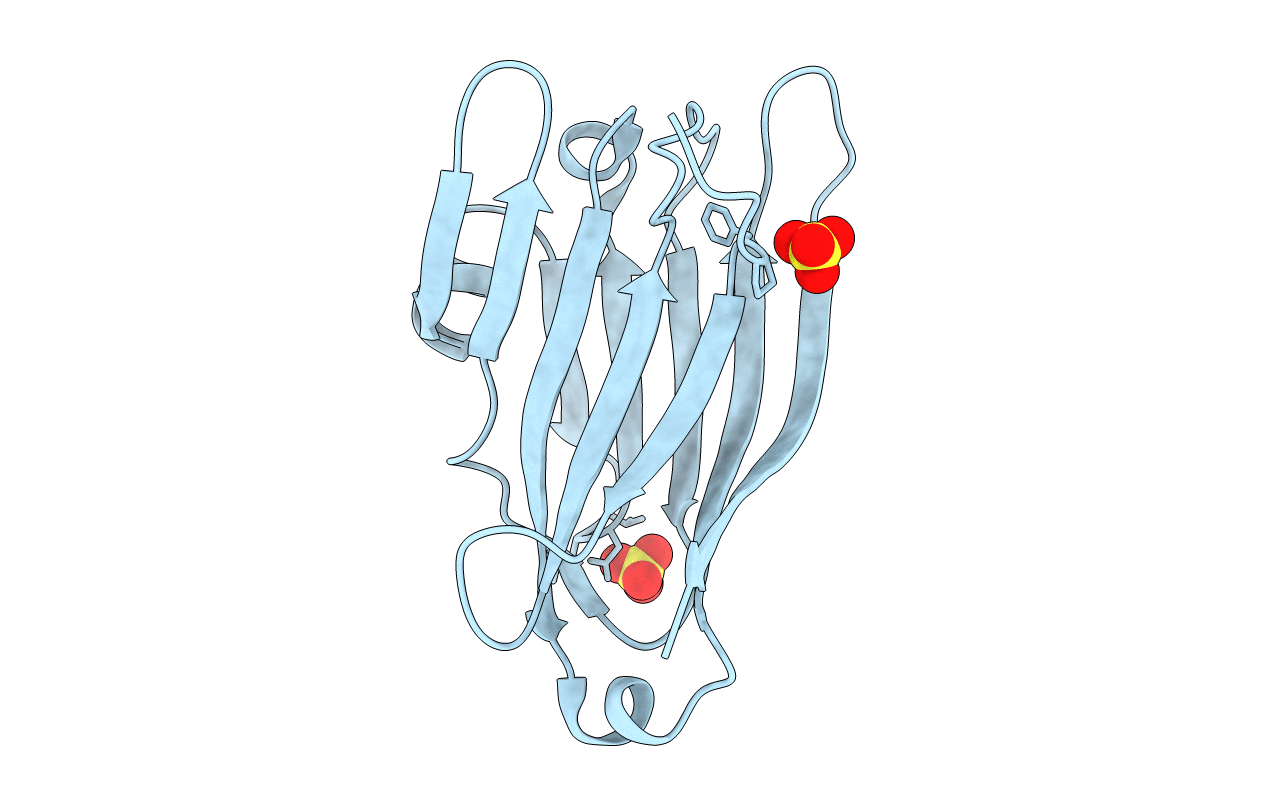 2OKM image