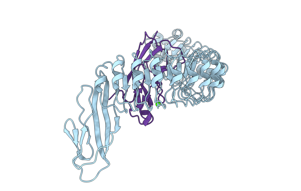 2OMT image