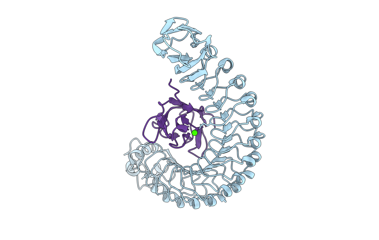 2OMU image