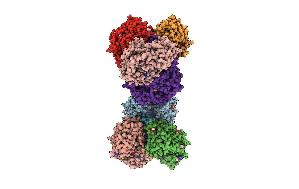 2ONP image
