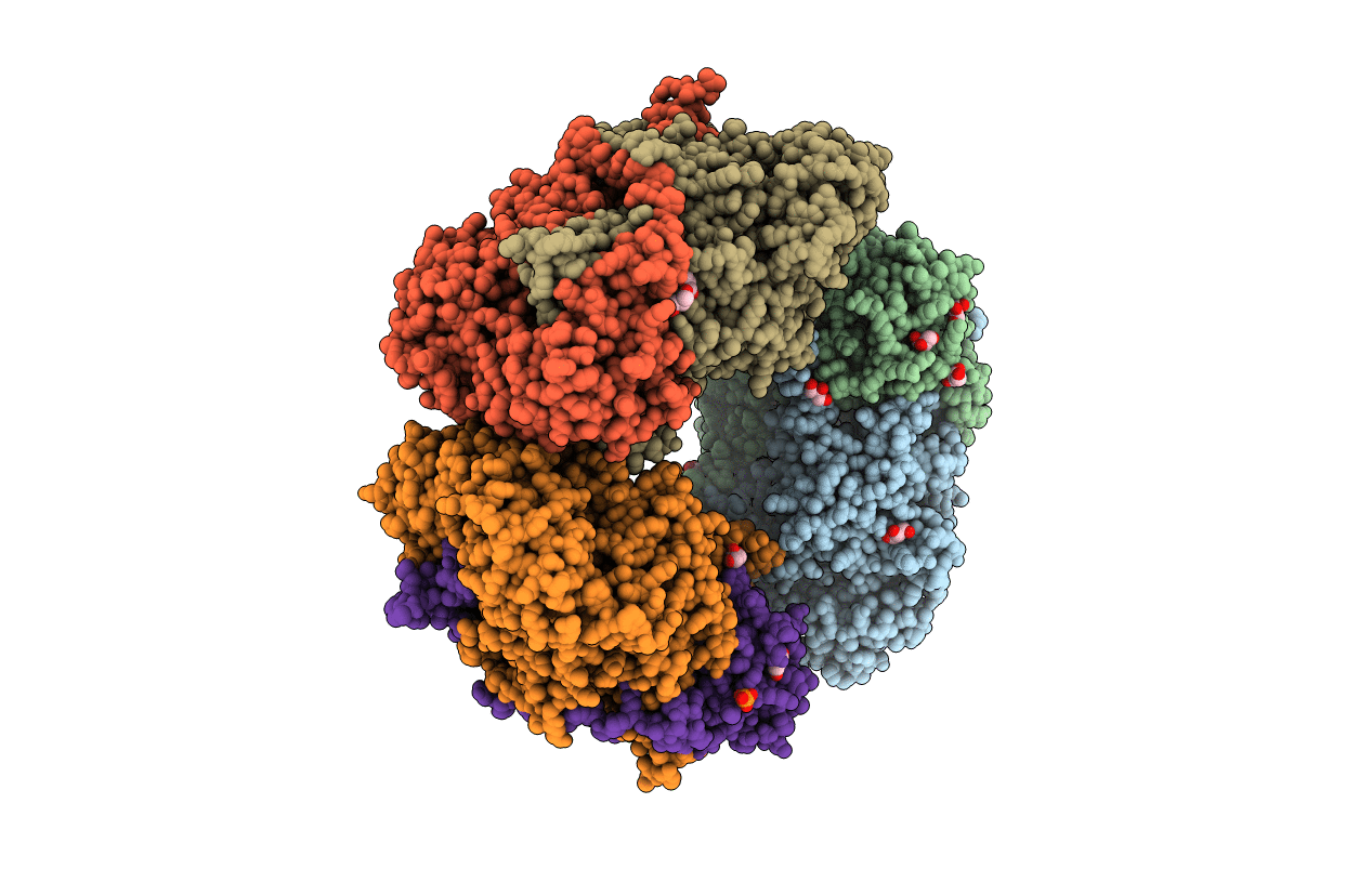 2OOV image