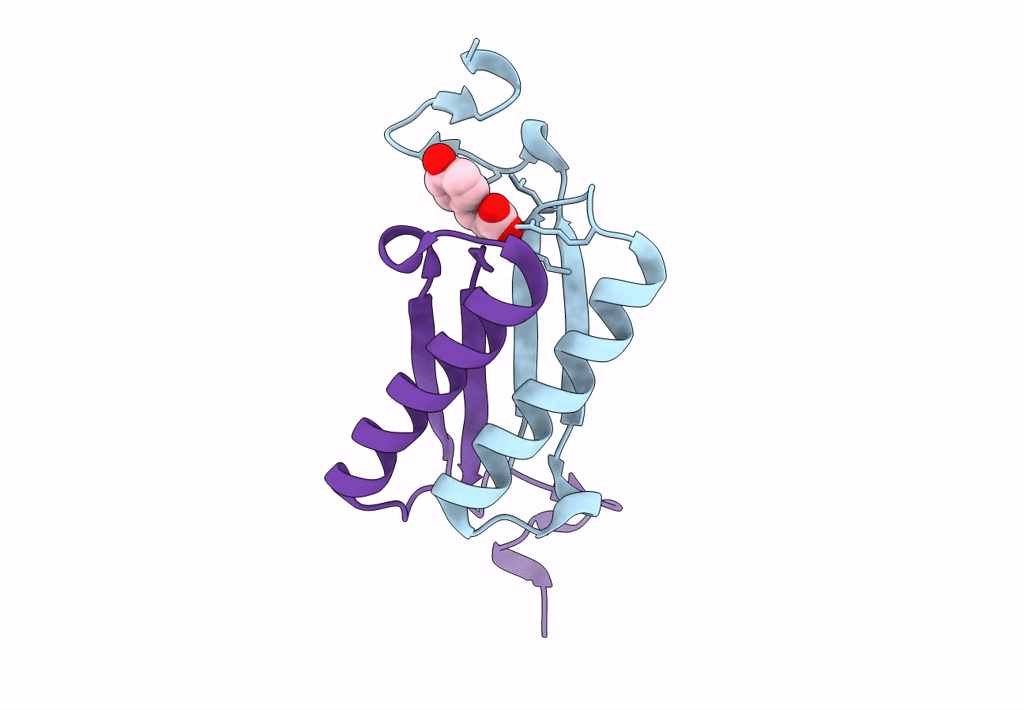 2OPA image