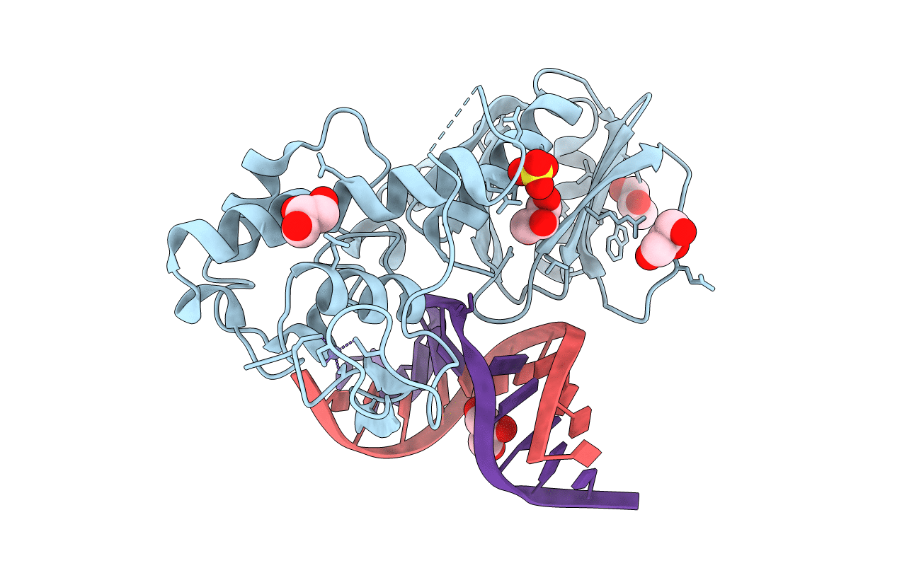 2OPF image