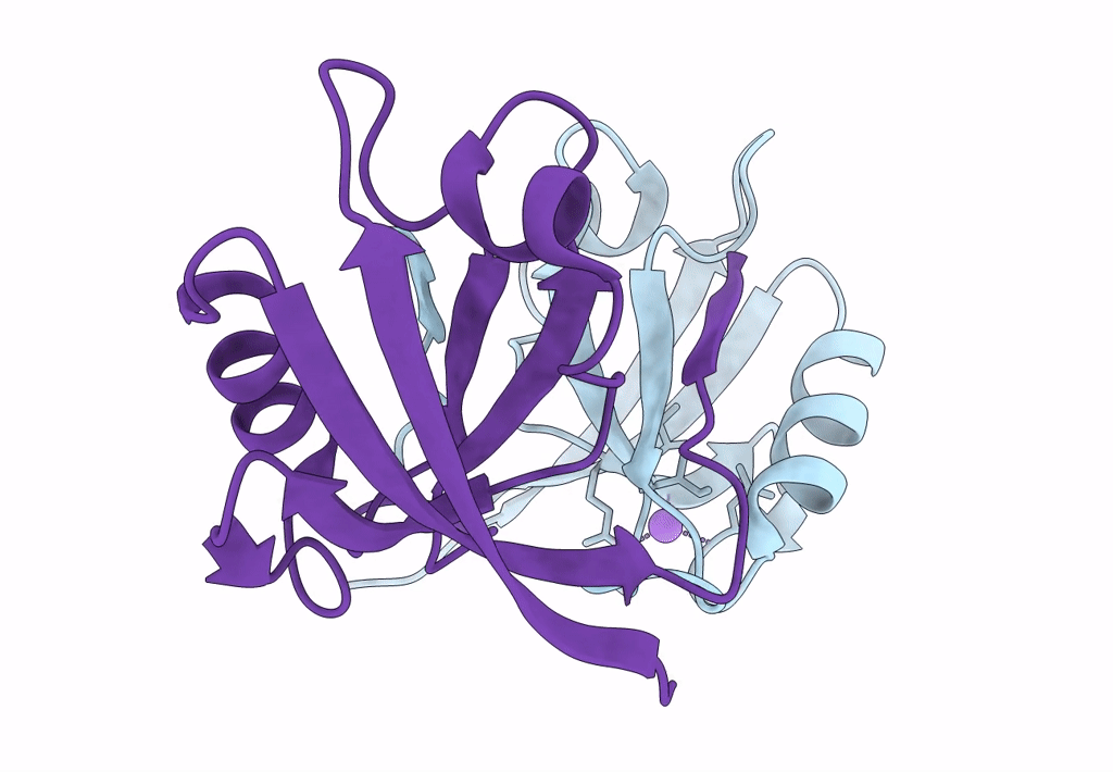 2OPG image