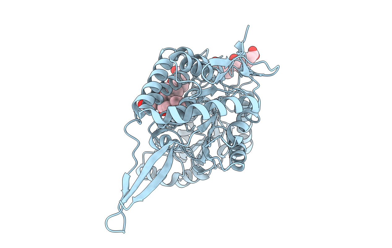2OPX image