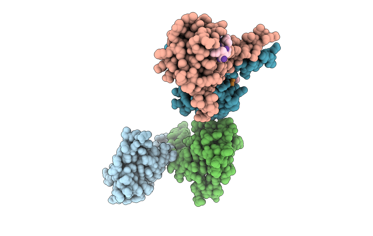 2OPZ image