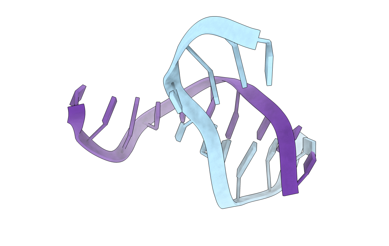 2ORG image