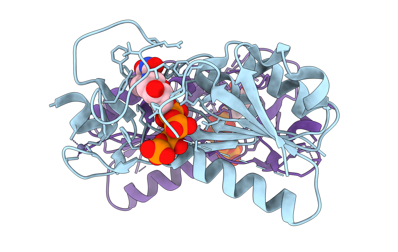 2ORV image