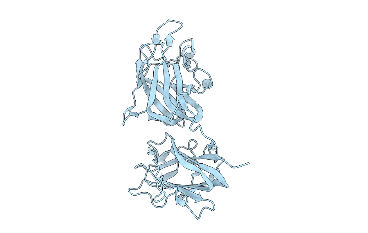 2ORX image