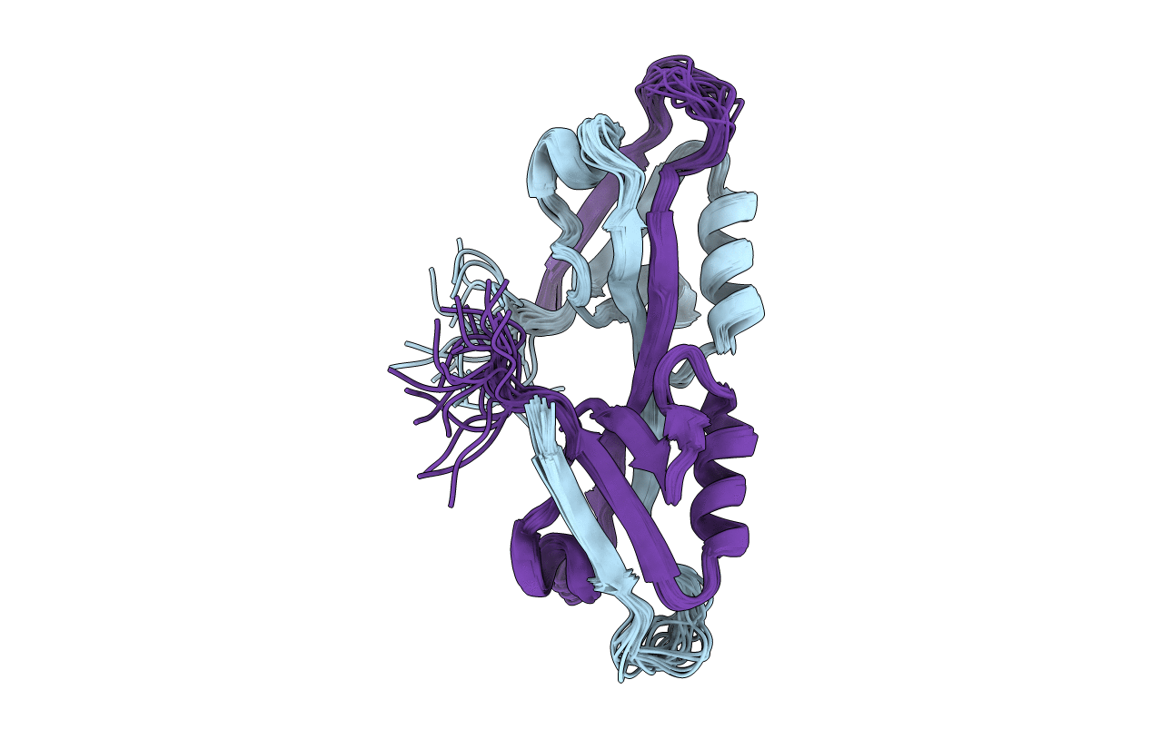 2OSG image