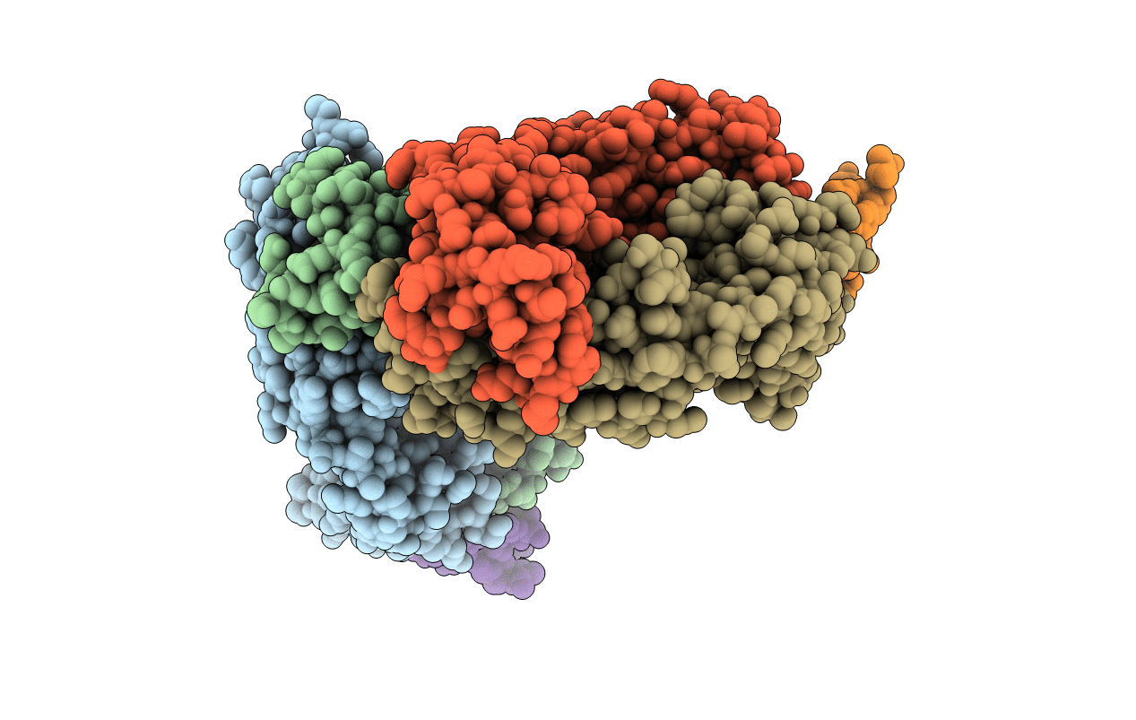 2OSL image