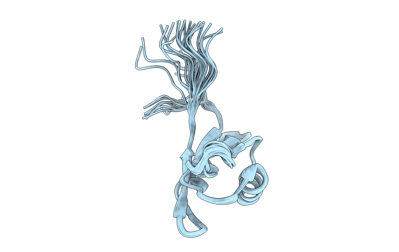 2OSR image