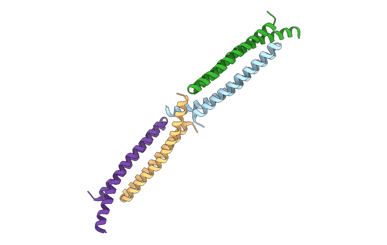 2OSZ image