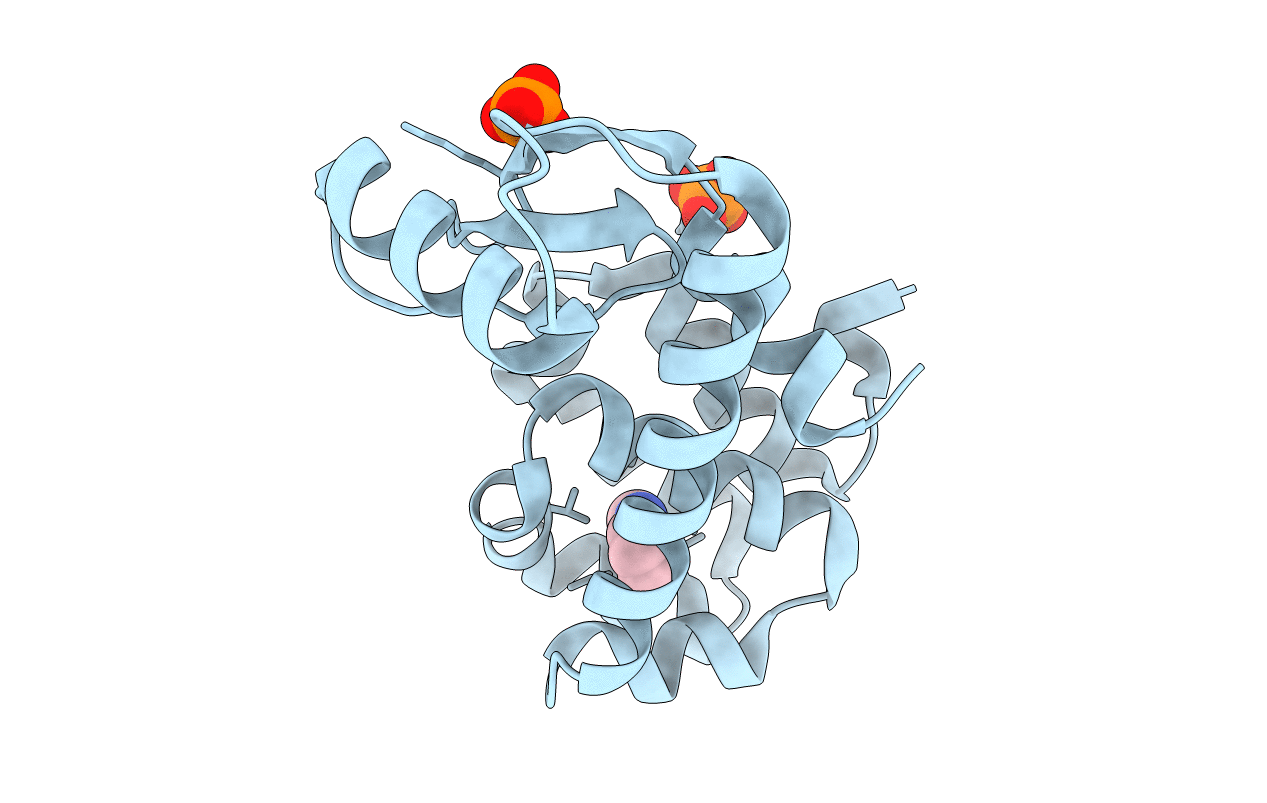 2OTZ image