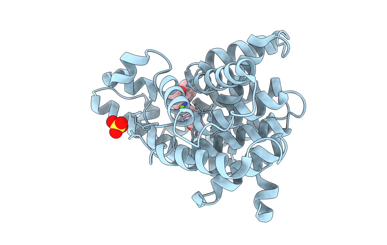 2OVV image