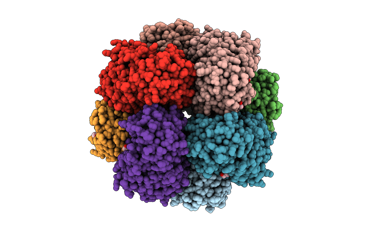2OX4 image