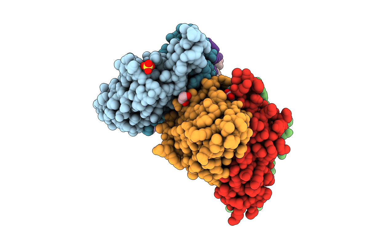 2OX5 image