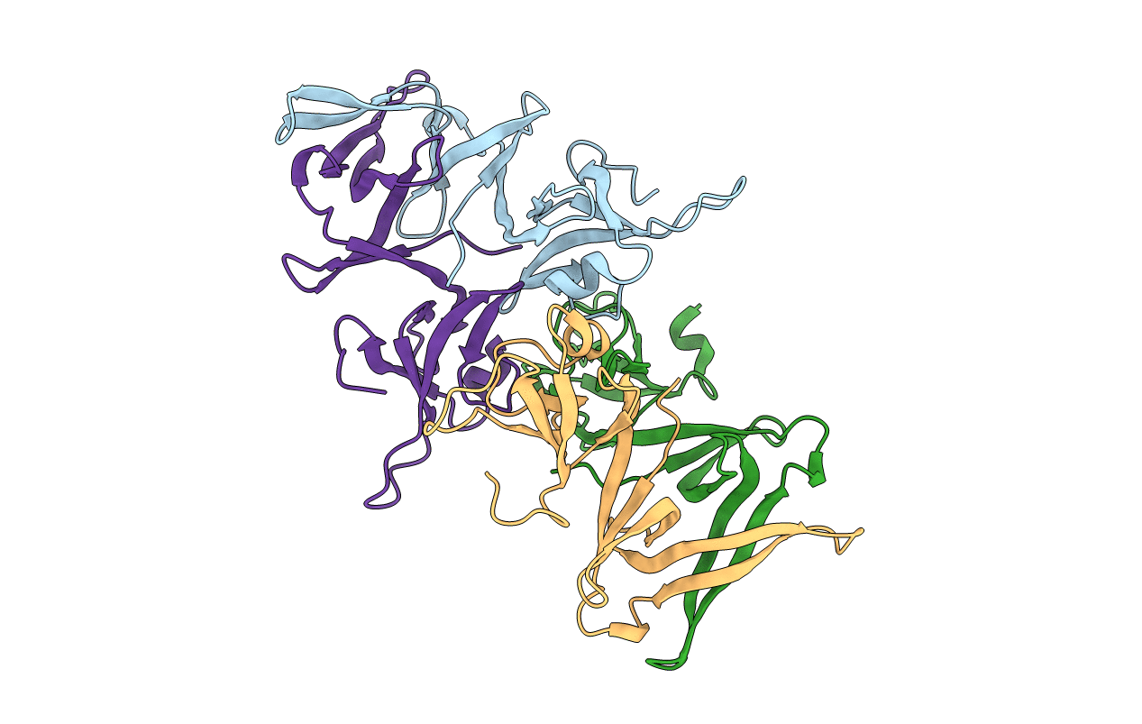 2OX7 image