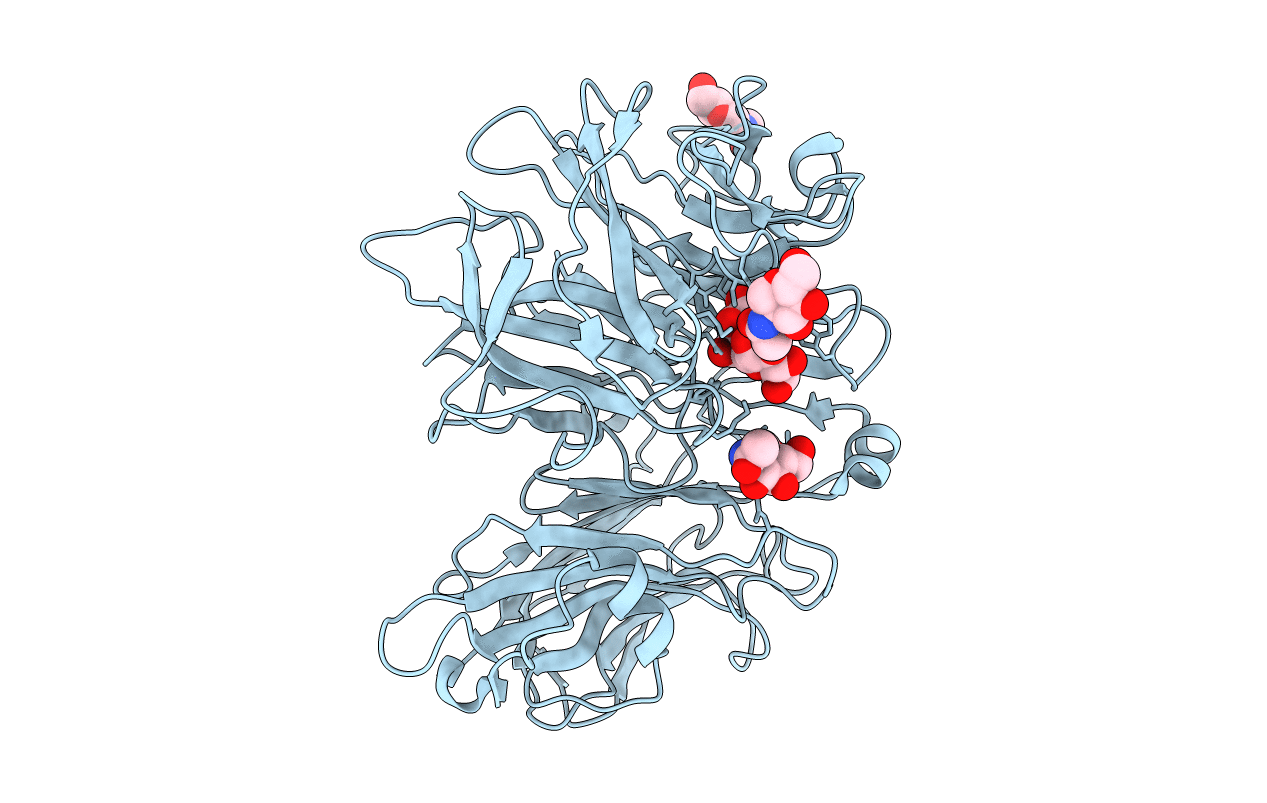 2OXB image