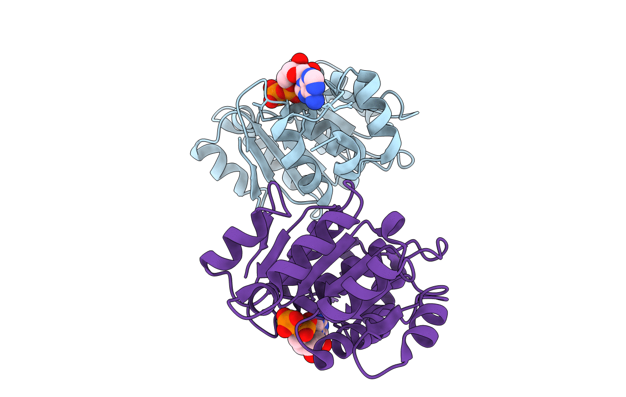 2OXC image