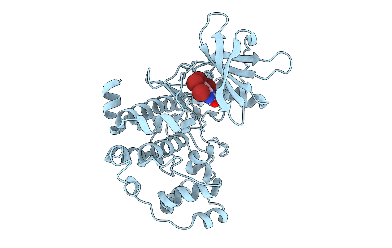 2OXD image