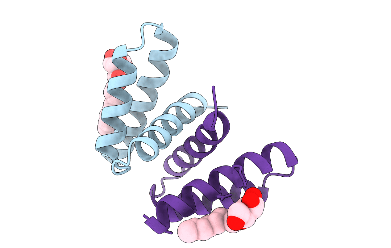 2OXL image