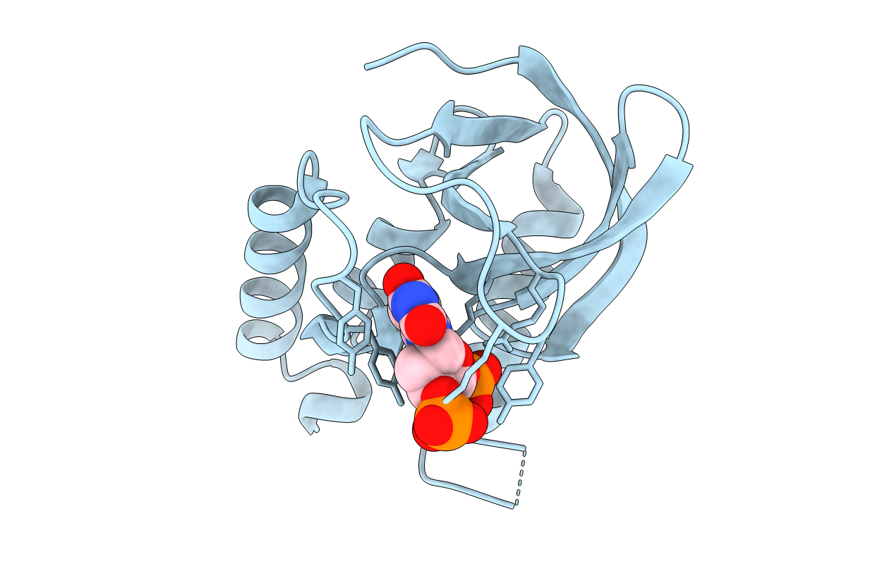 2OXP image