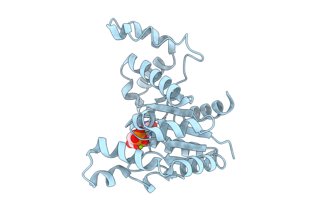 2OXR image