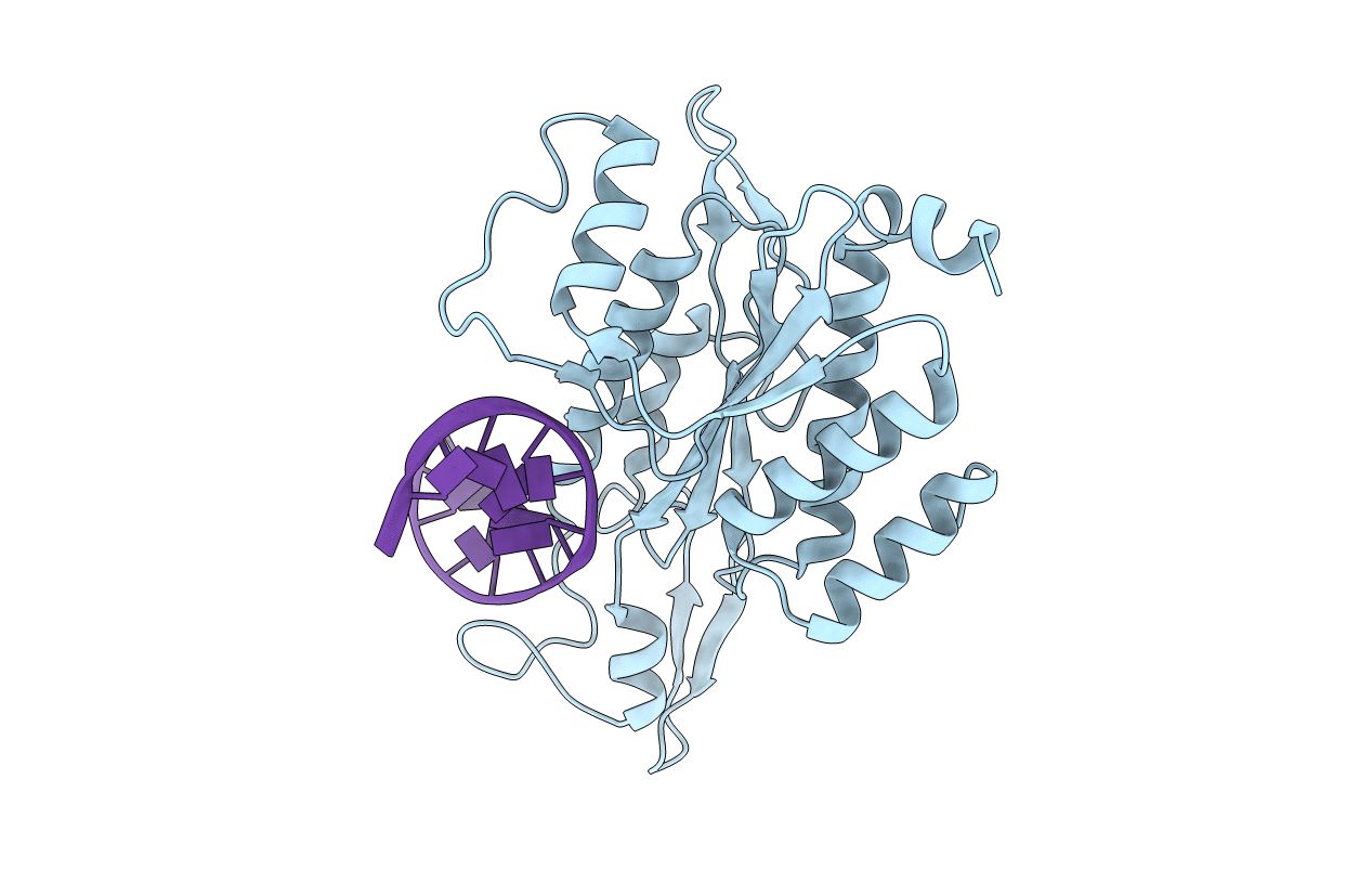 2OXV image