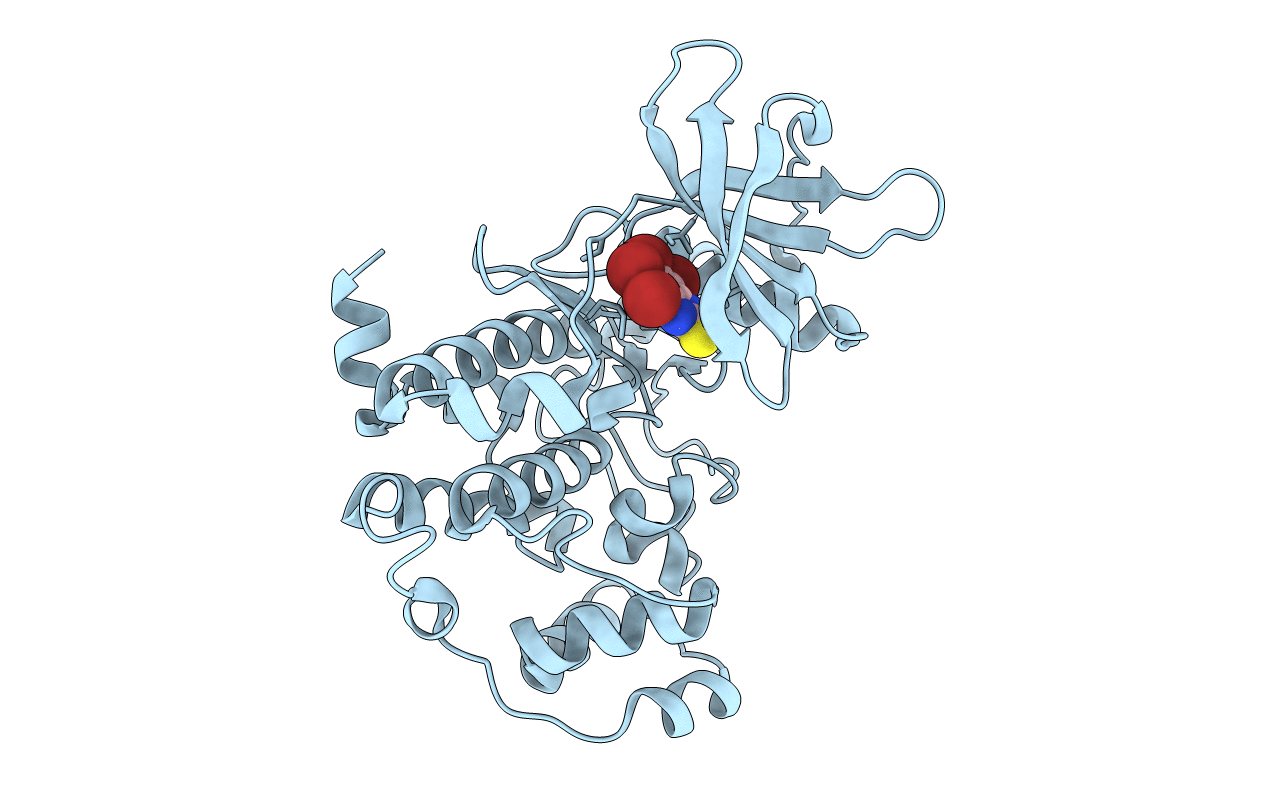 2oxx image