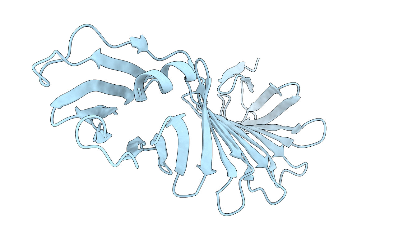 2OYB image