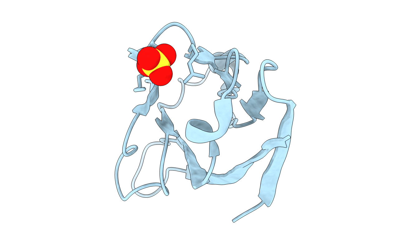 2oyp image