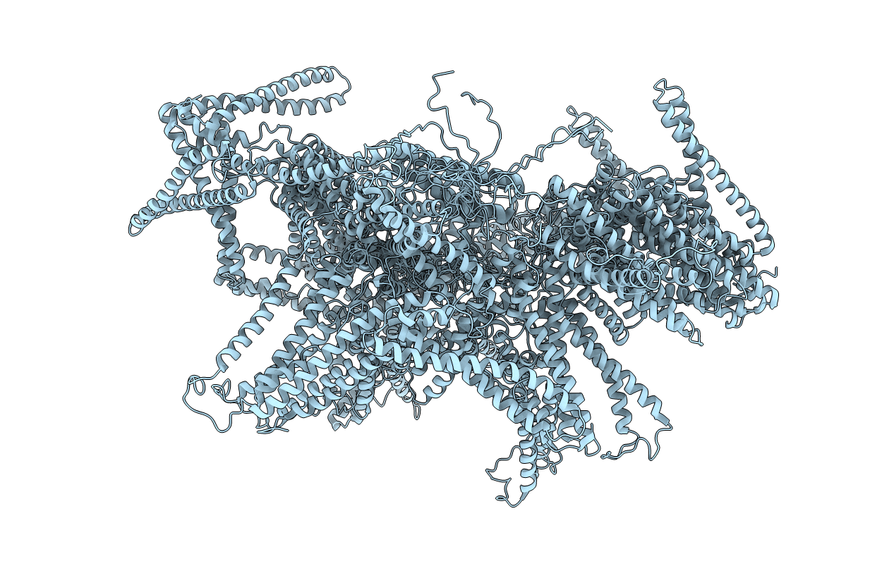 2P01 image