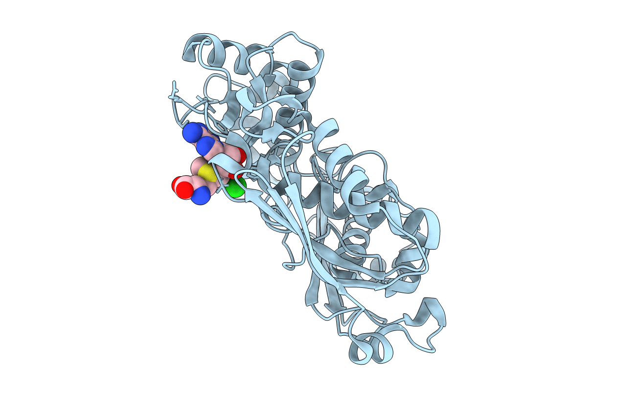 2P02 image