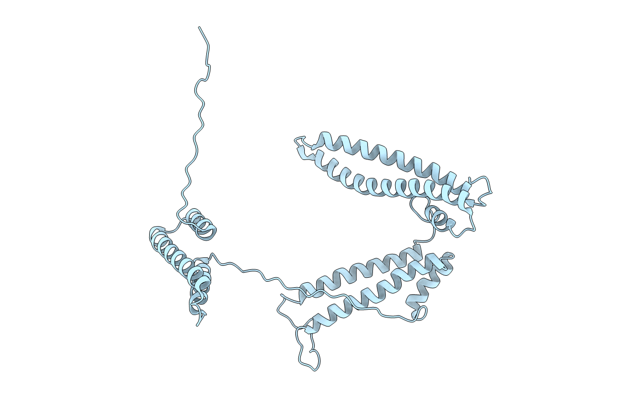 2P03 image