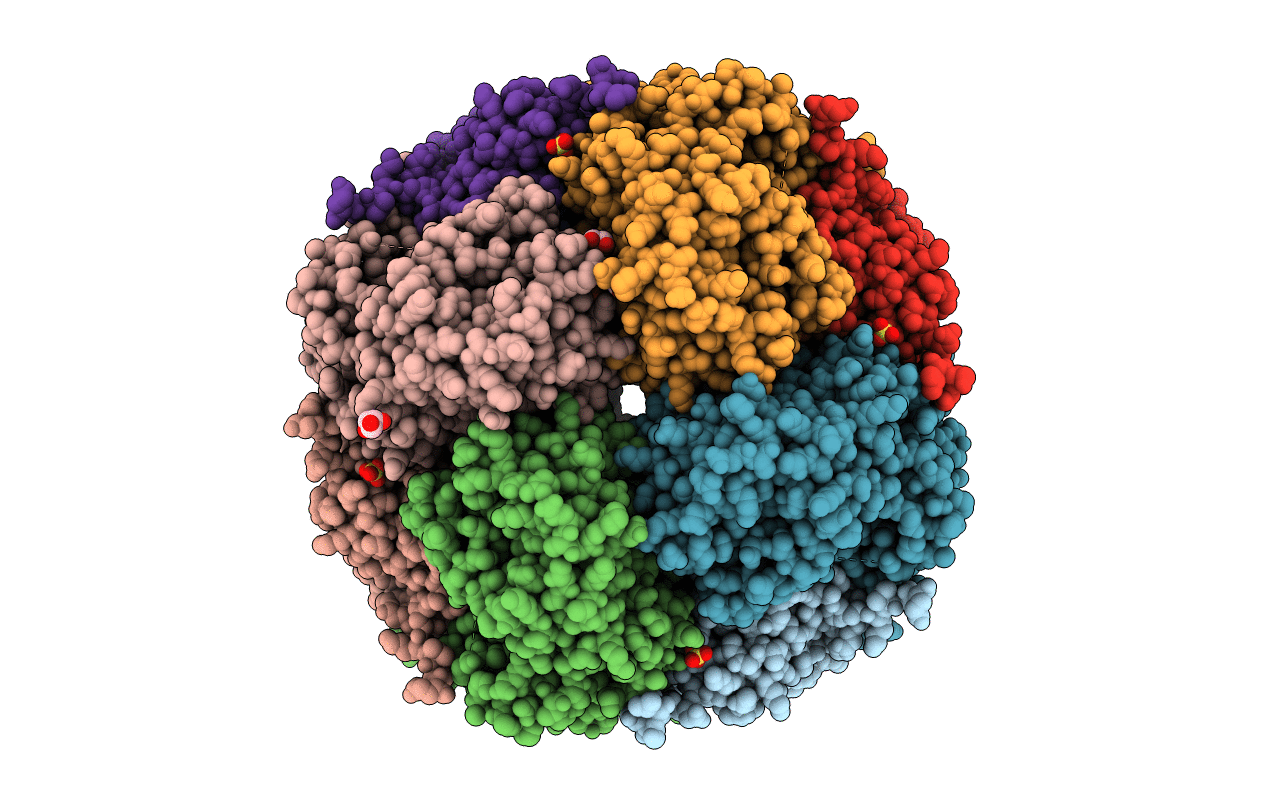 2P0I image