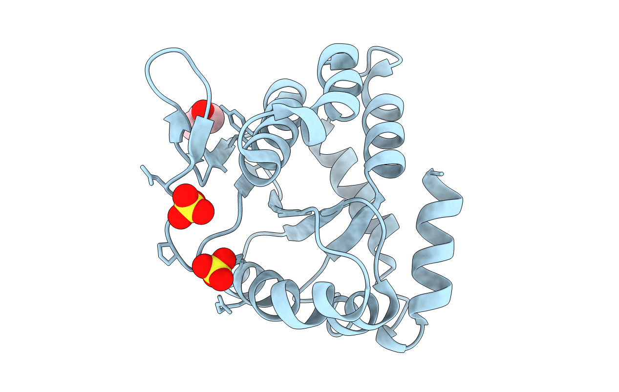 2P14 image