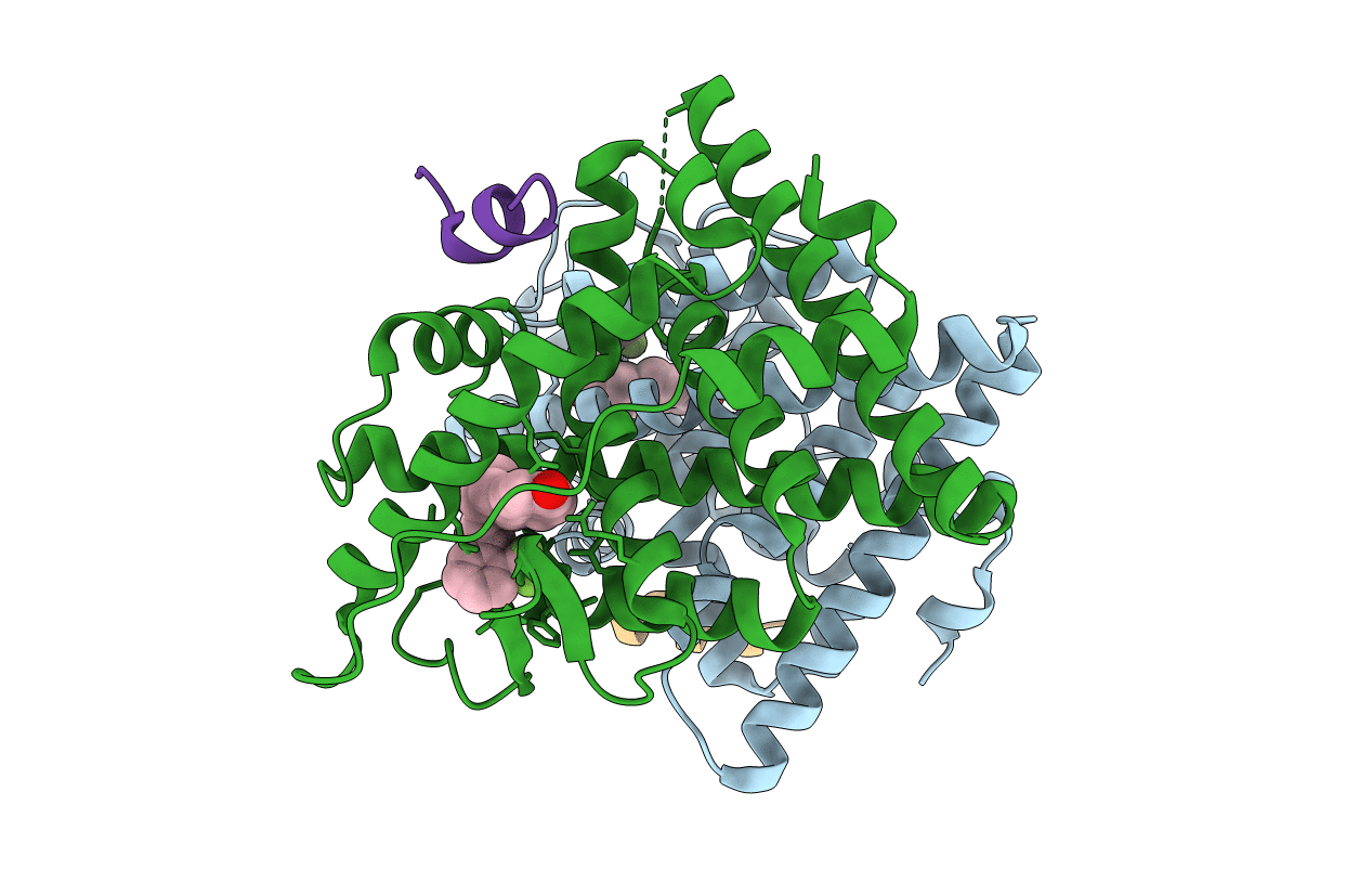 2P15 image