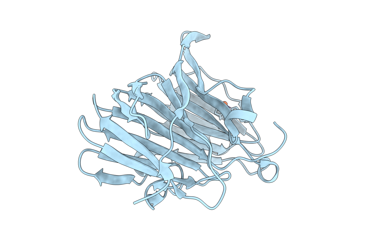 2P17 image