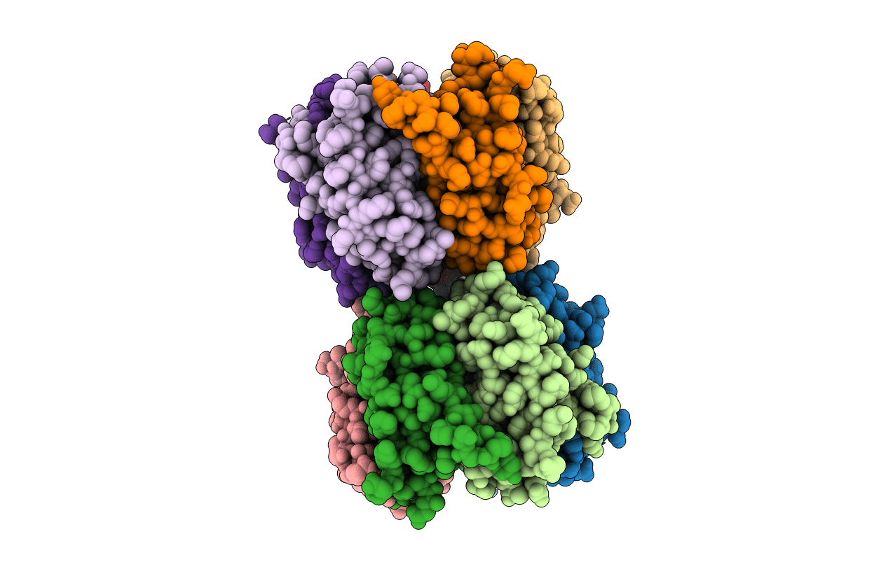 2P1B image