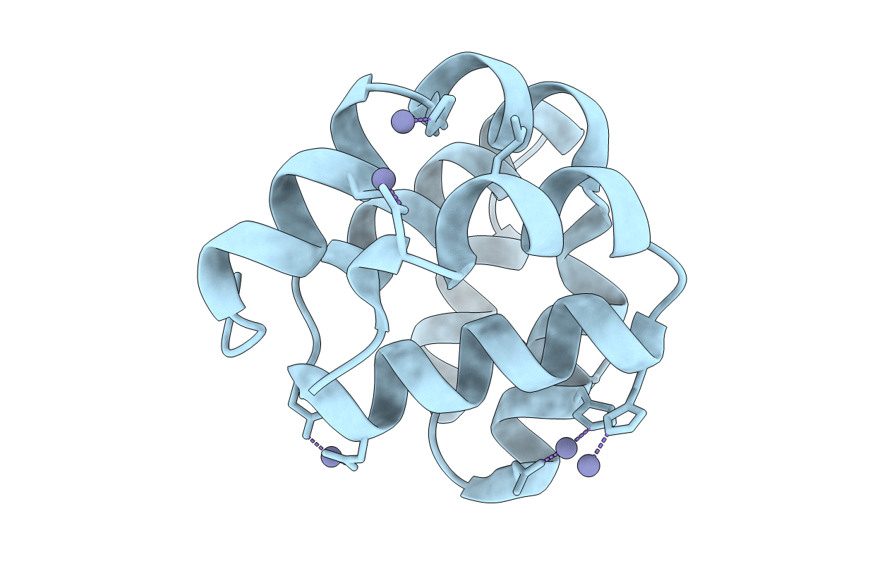 2P1H image