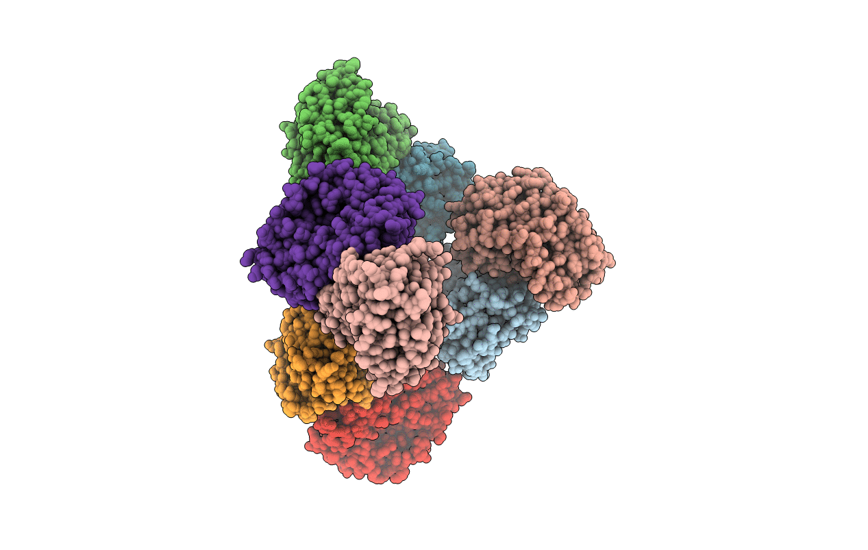 2P1I image
