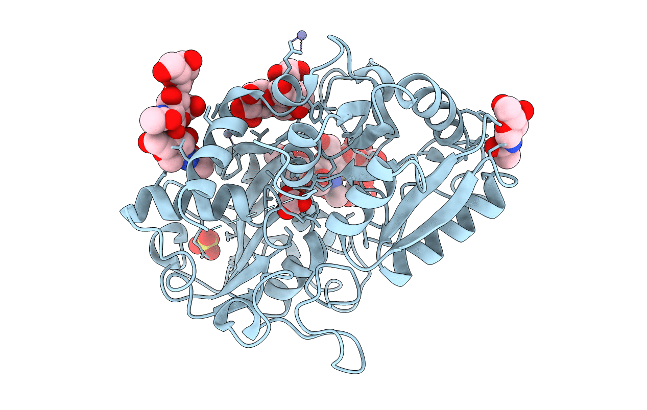 2P1S image