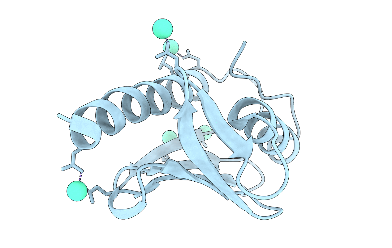 2P1X image