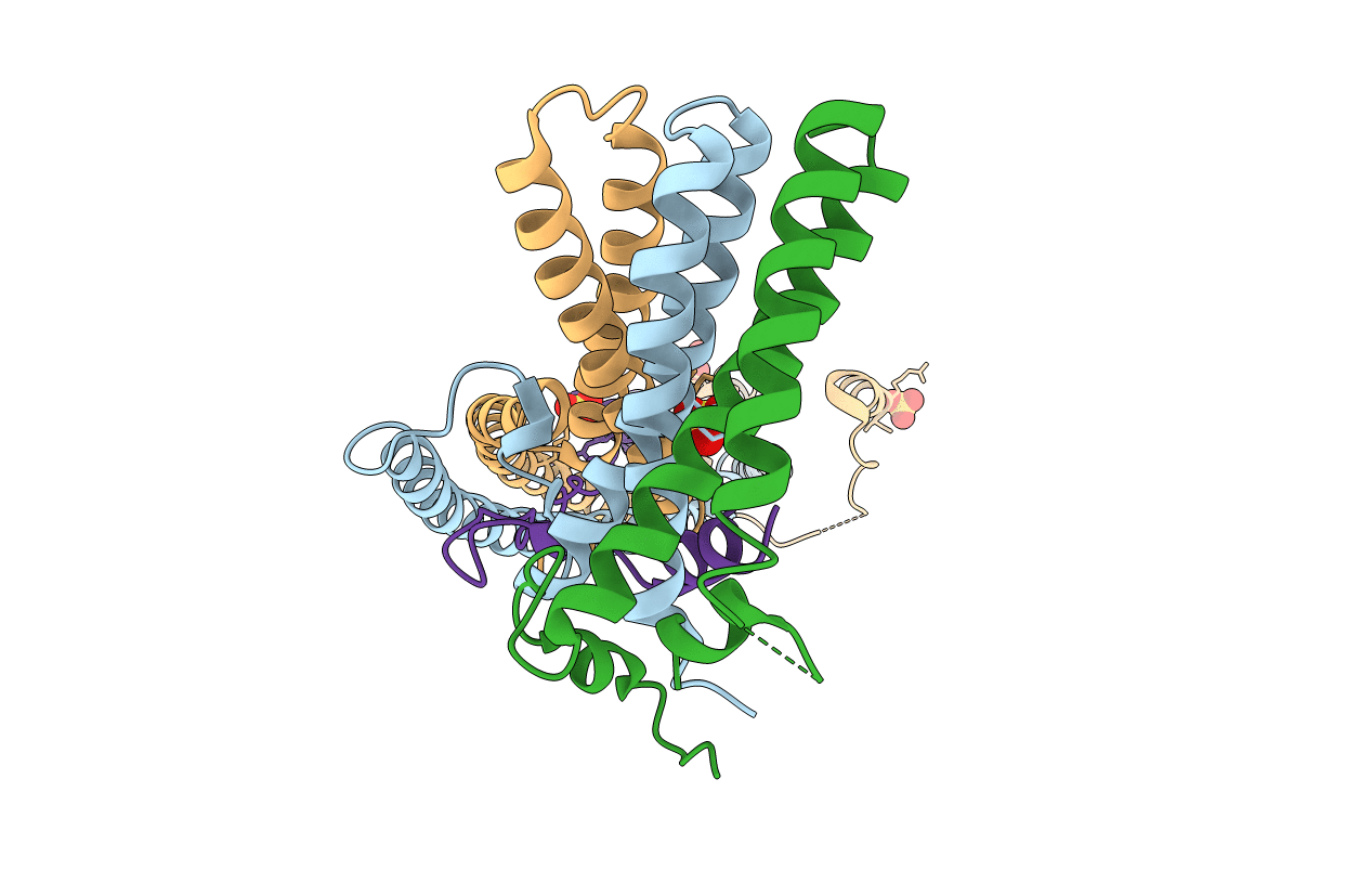 2P22 image