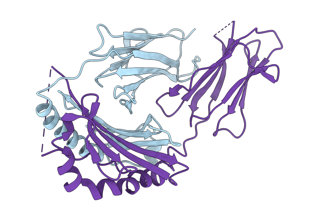 2P24 image