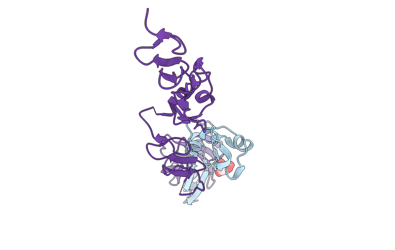 2P28 image