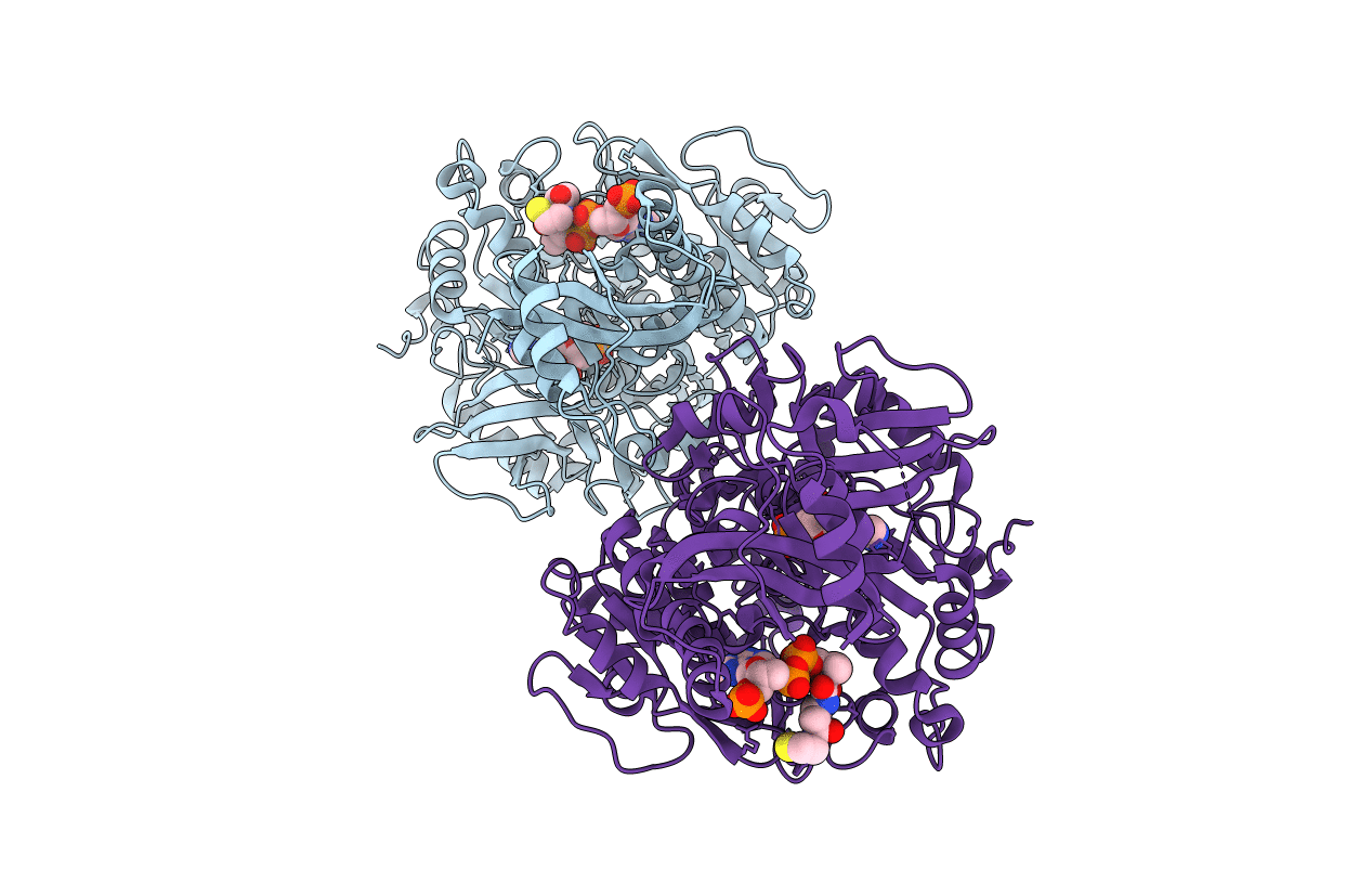2P2B image