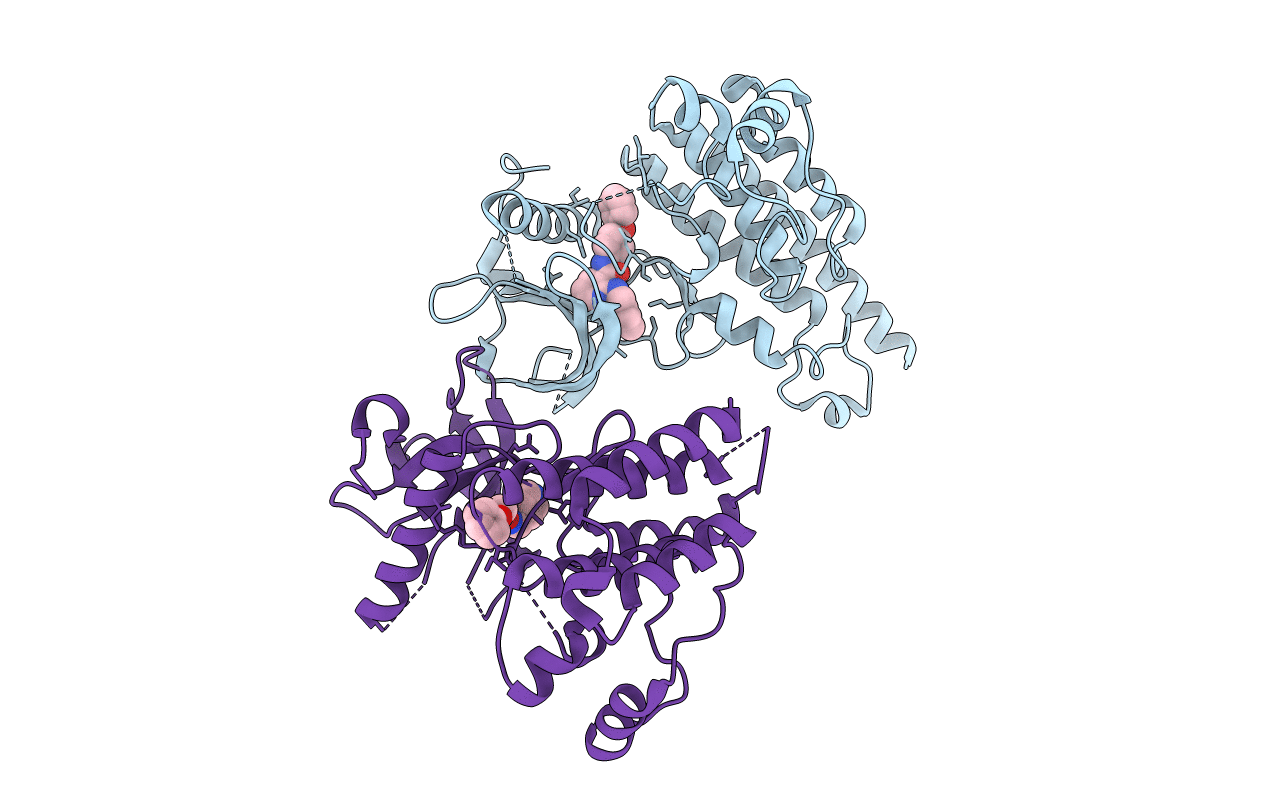 2P2I image